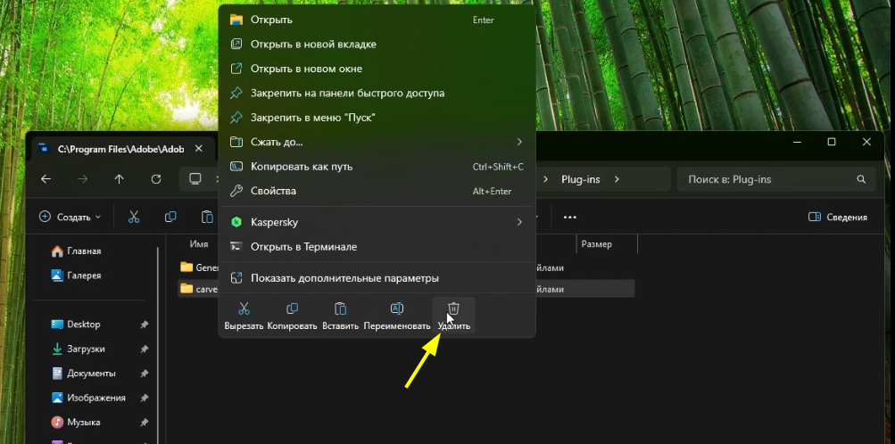 Удаление папки из директории Plug-ins.